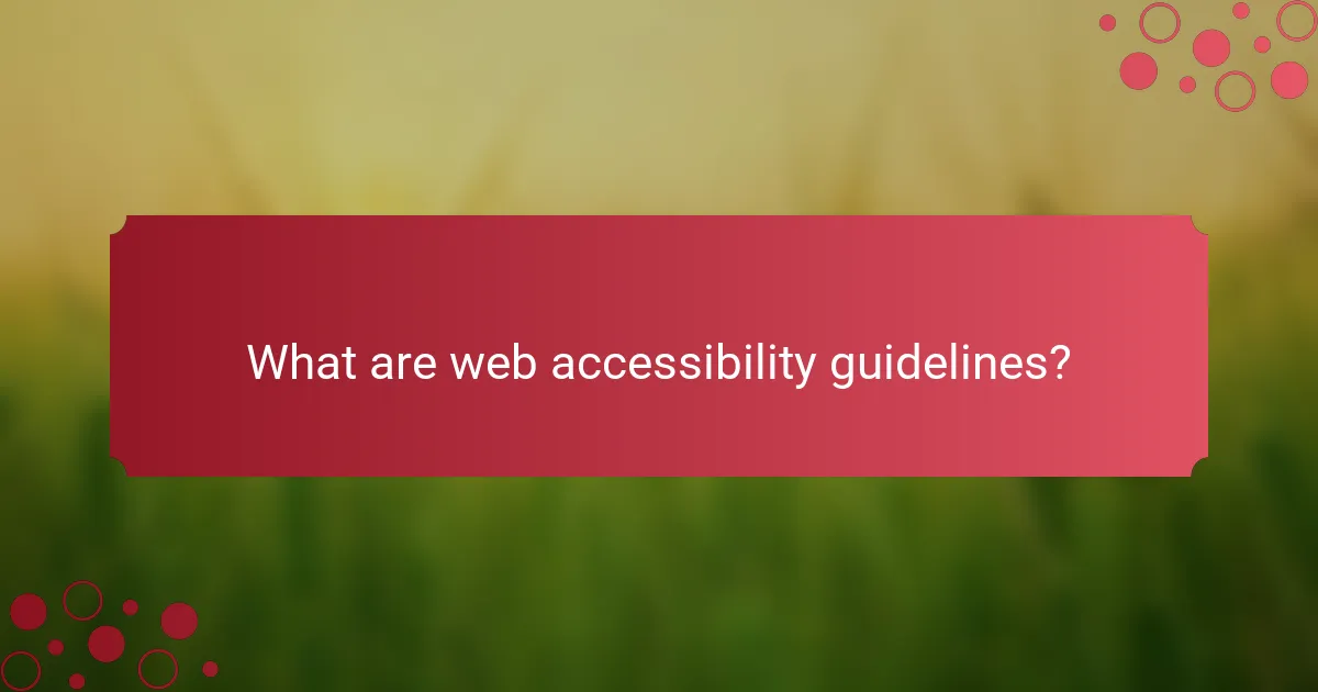 What are web accessibility guidelines?
