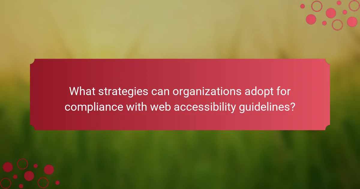 What strategies can organizations adopt for compliance with web accessibility guidelines?